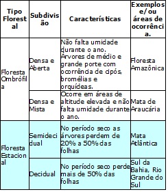 Vegetação do Brasil: tipos e características - PrePara ENEM