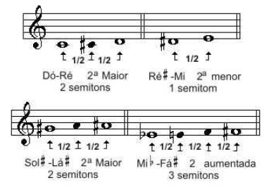 teoria55