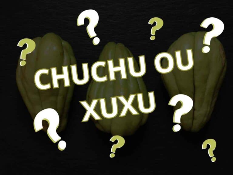 como escrever chuchu ou xuxu canva