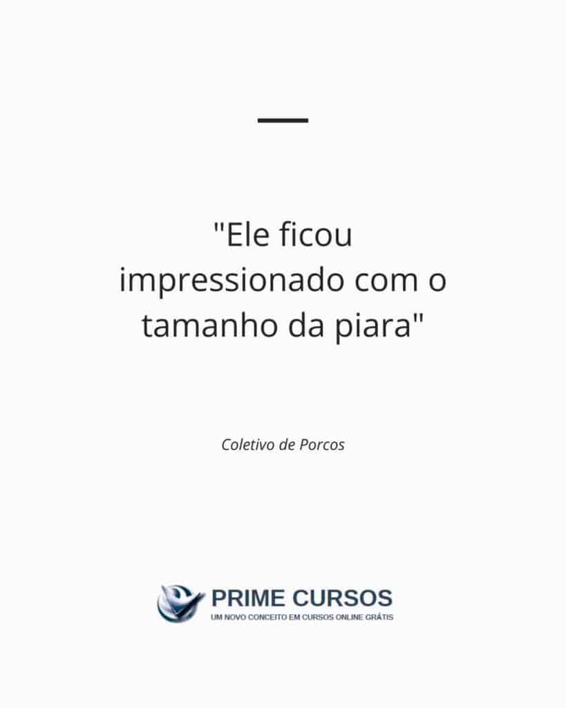 Exemplo de frase: Ele ficou impressionado com o tamanho da piara.